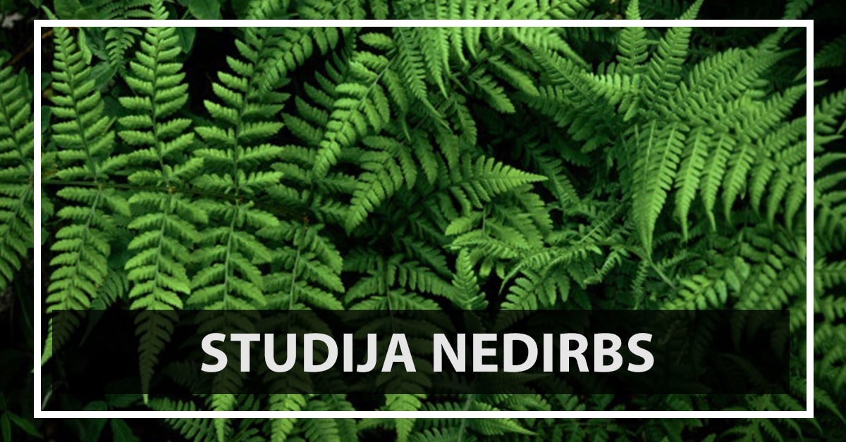 Studija Nedirbs Jonines